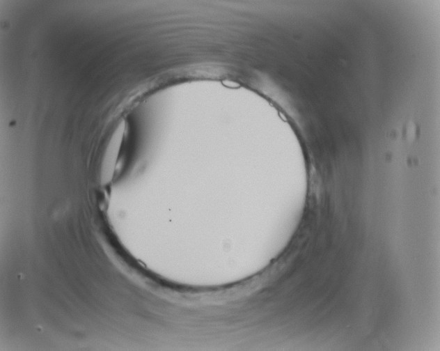 X0000082690013200702232216