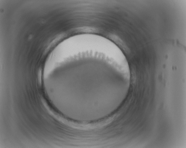 X0000082690014200702232216