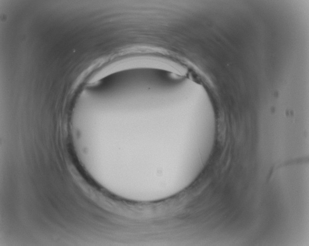 X0000082690015200702232216