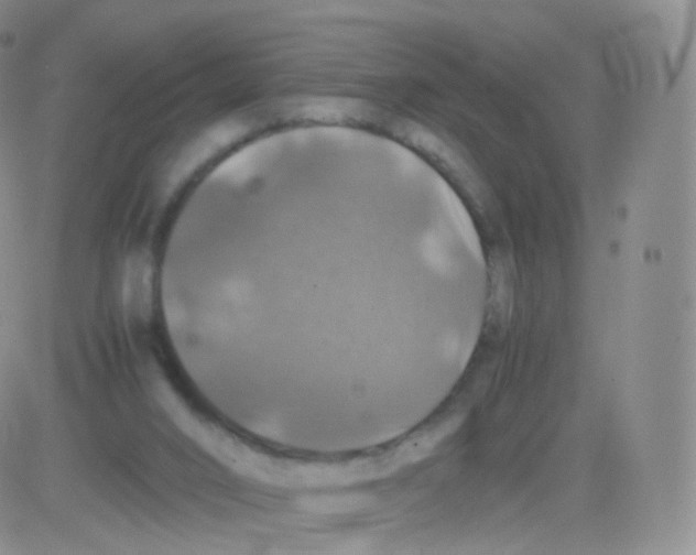 X0000082690016200702232216