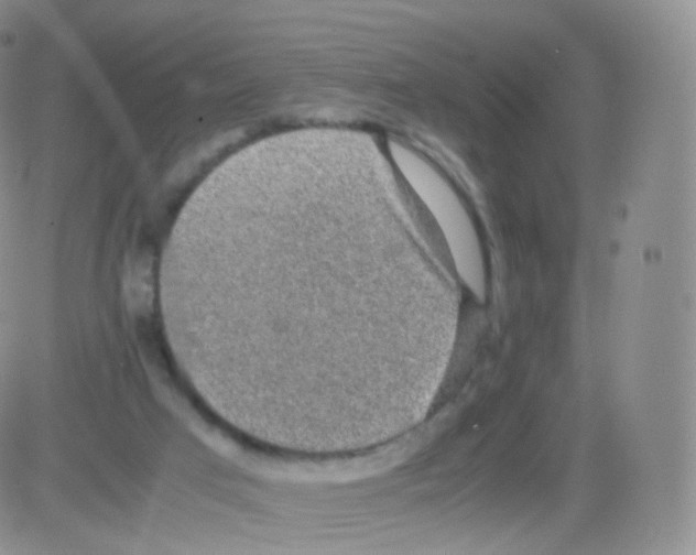 X0000082690017200702232216