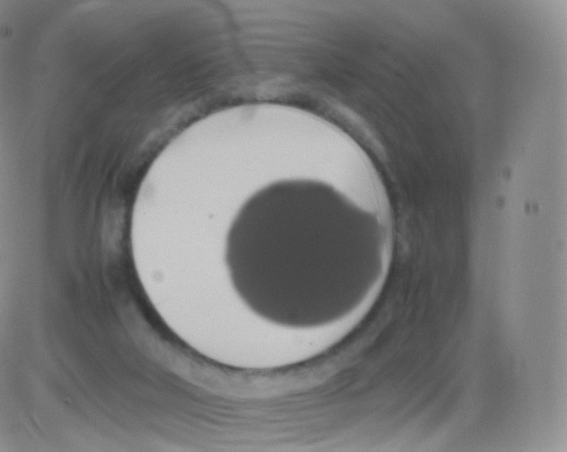 X0000082690018200702232216