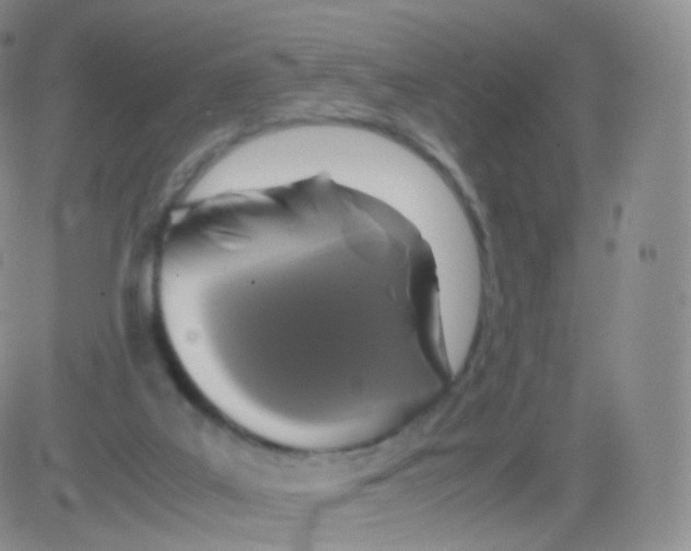 X0000082690019200702232216