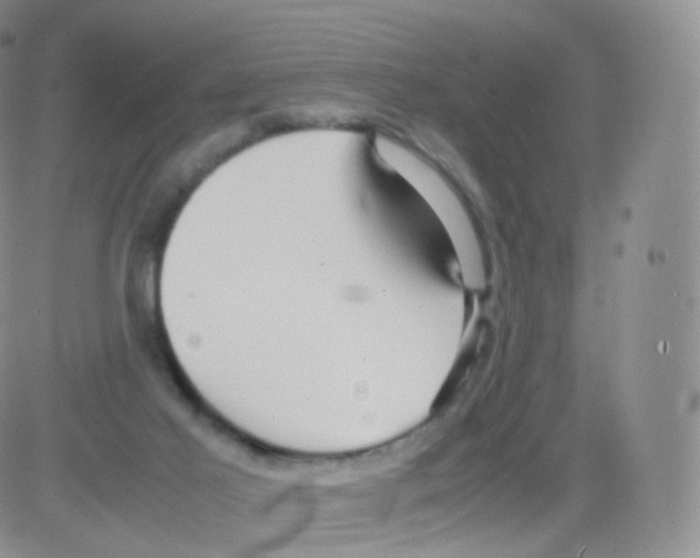 X0000082690021200702232216