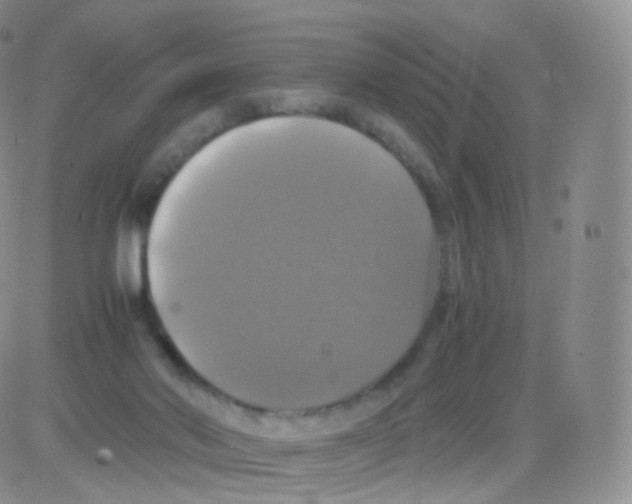 X0000082690022200702232216