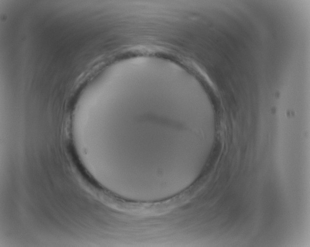 X0000082690023200702232216