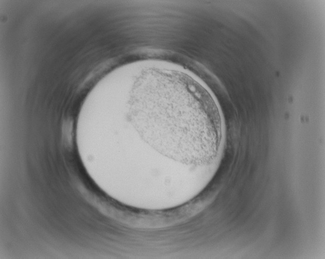 X0000082690024200702232216