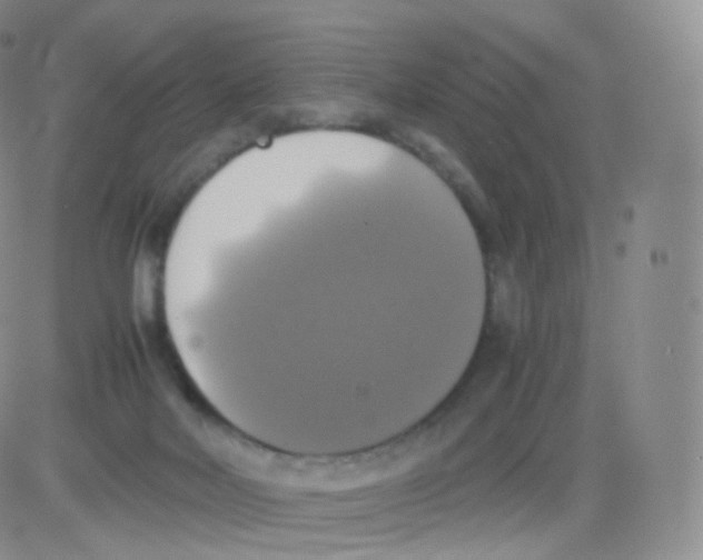 X0000082690026200702232216