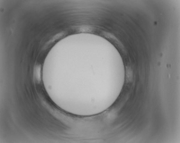 X0000082690028200702232216