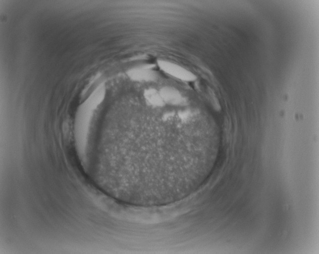 X0000082690029200702232216