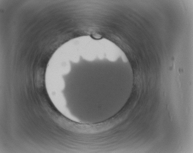 X0000082690030200702232216