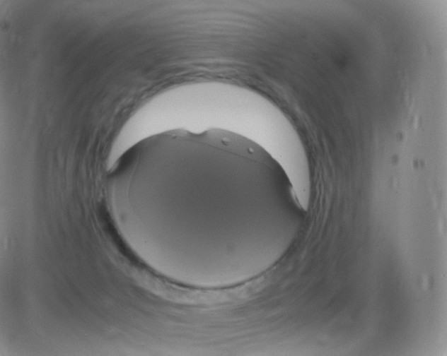 X0000082690031200702232216