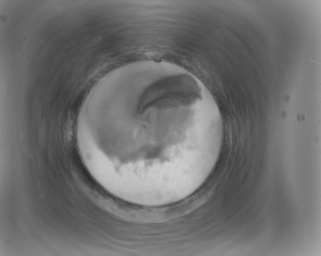 X0000082690032200702232216