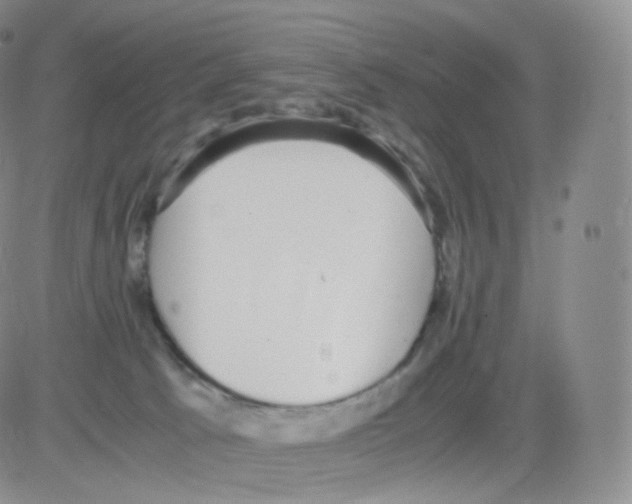 X0000082690033200702232216