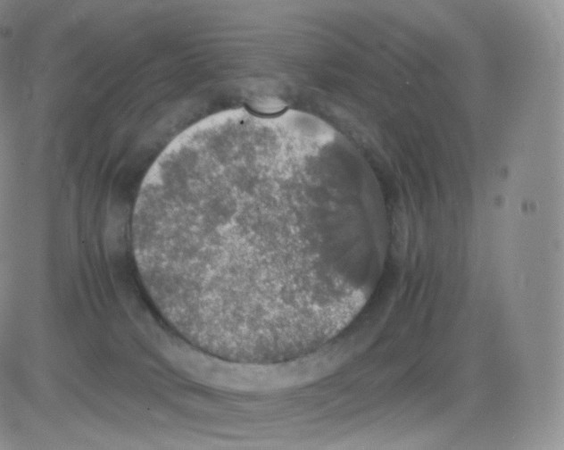 X0000082690034200702232216