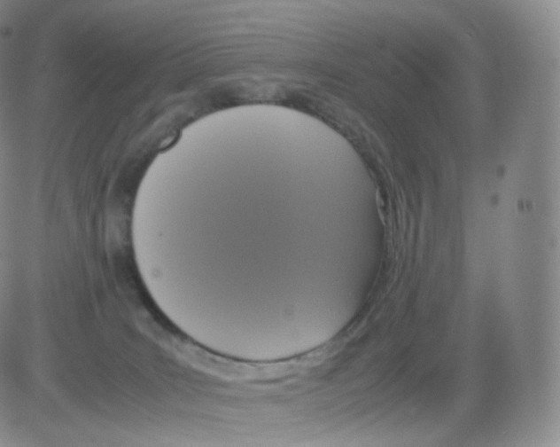 X0000082690035200702232216