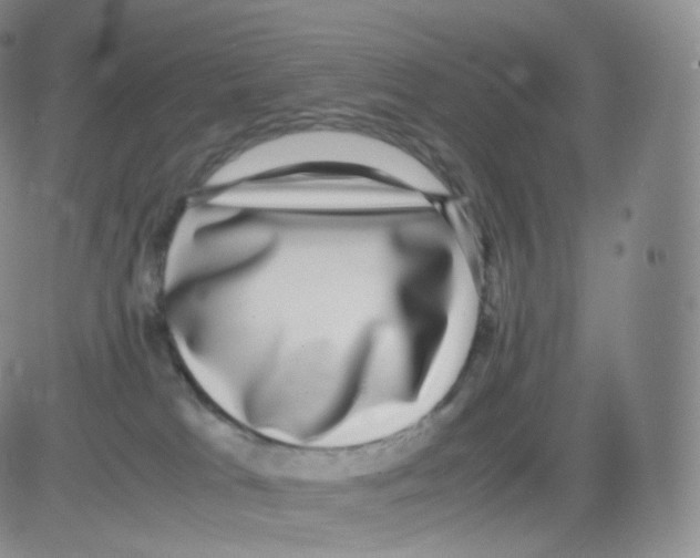 X0000082690037200702232216