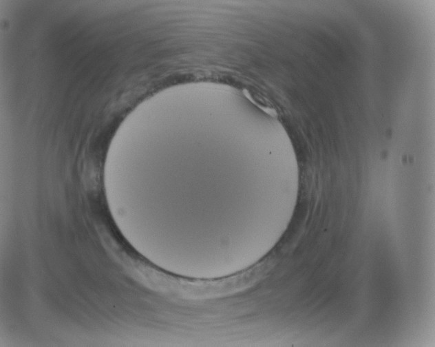 X0000082690039200702232216