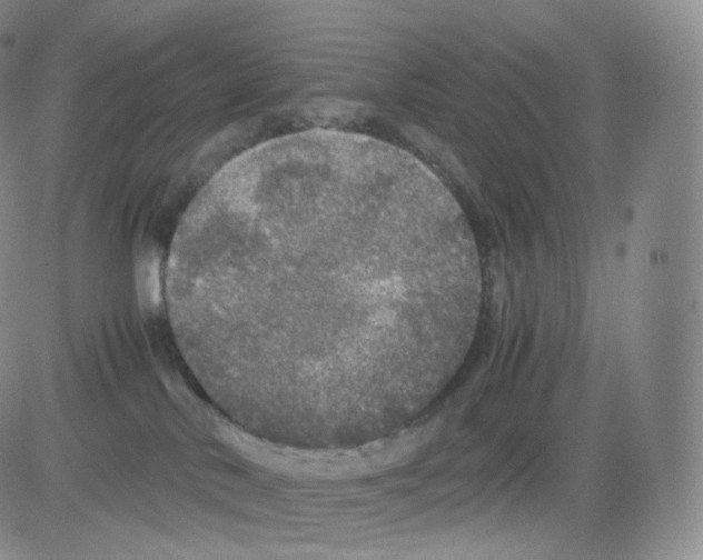 X0000082690042200702232216