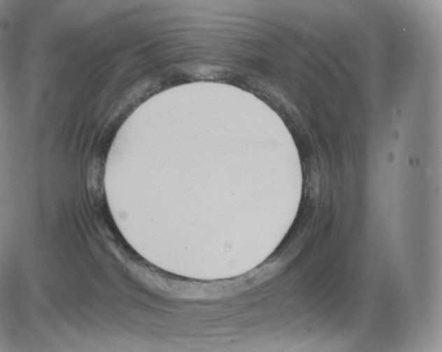 X0000082690044200702232216