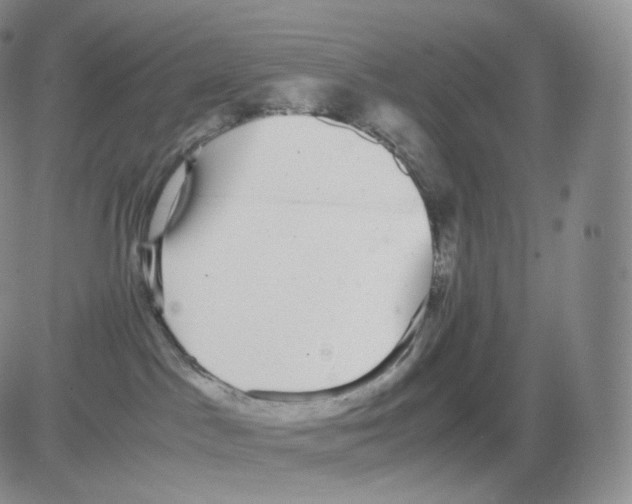 X0000082690045200702232216