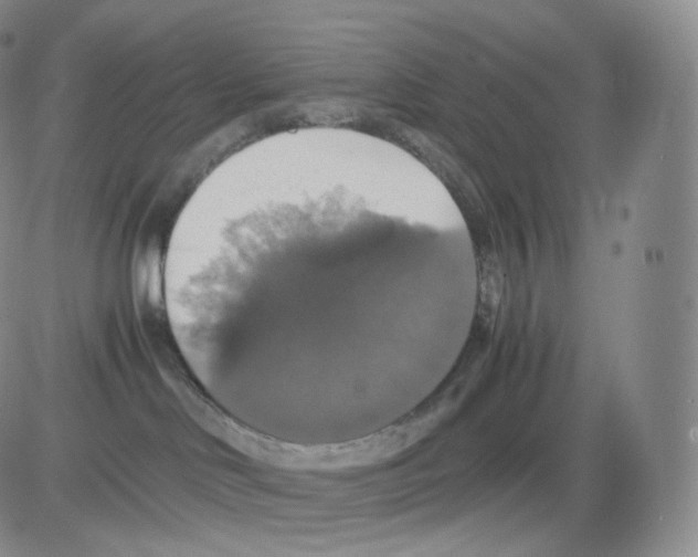 X0000082690046200702232216