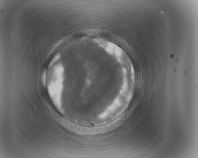 X0000082690047200702232216