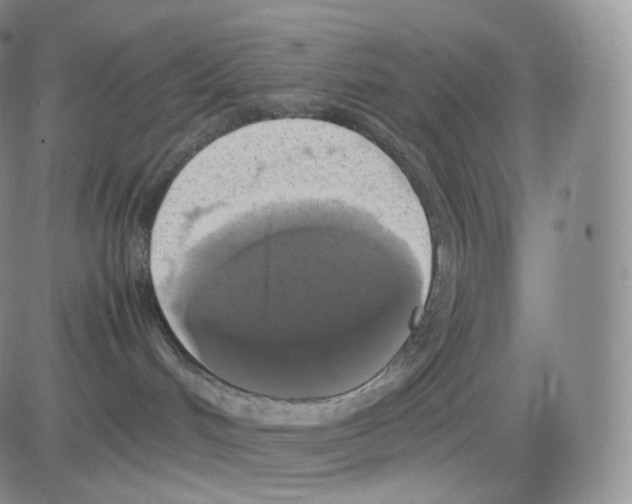 X0000082690048200702232216