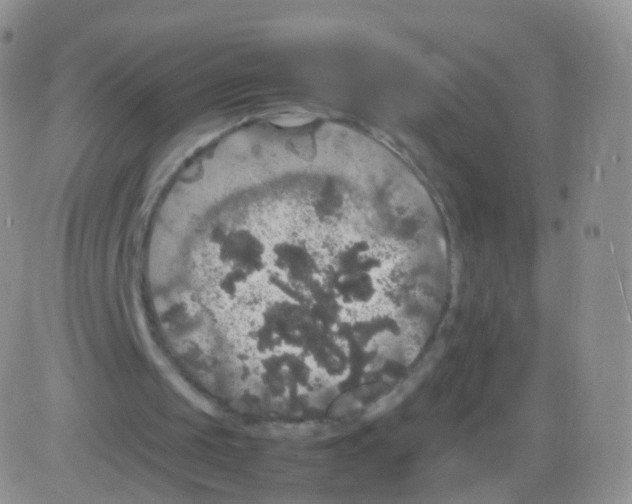 X0000082690049200702232215