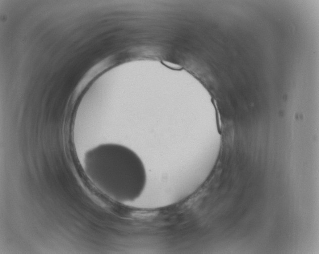 X0000082690051200702232215