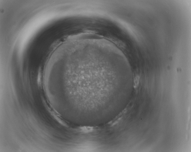 X0000082690052200702232215