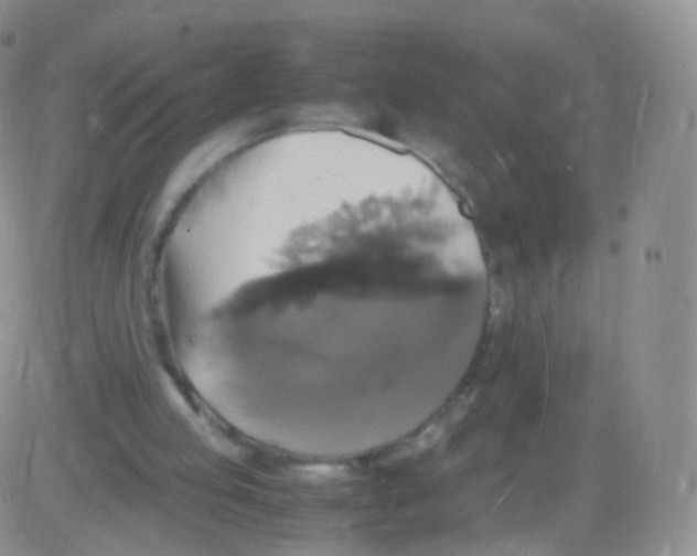 X0000082690053200702232215