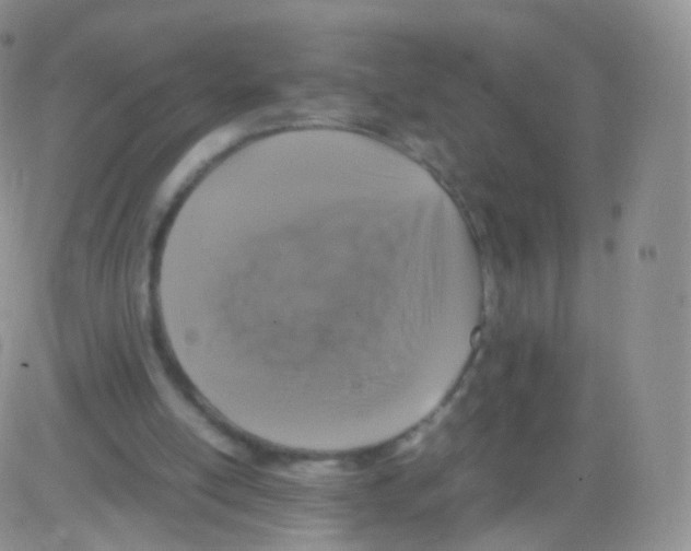 X0000082690054200702232215