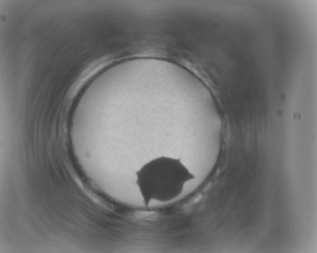 X0000082690055200702232215