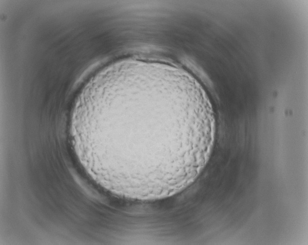 X0000082690058200702232215