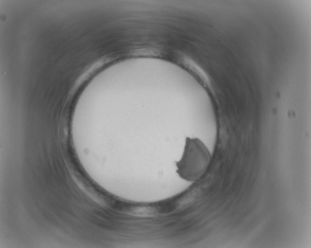 X0000082690059200702232215