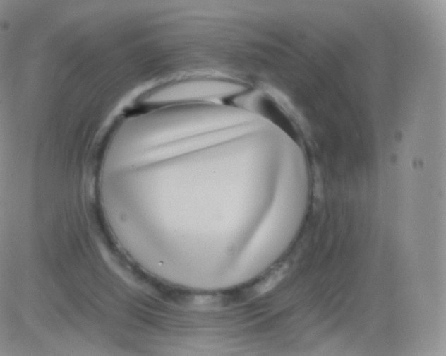 X0000082690060200702232215