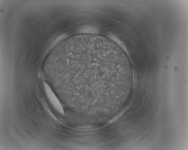 X0000082690061200702232215