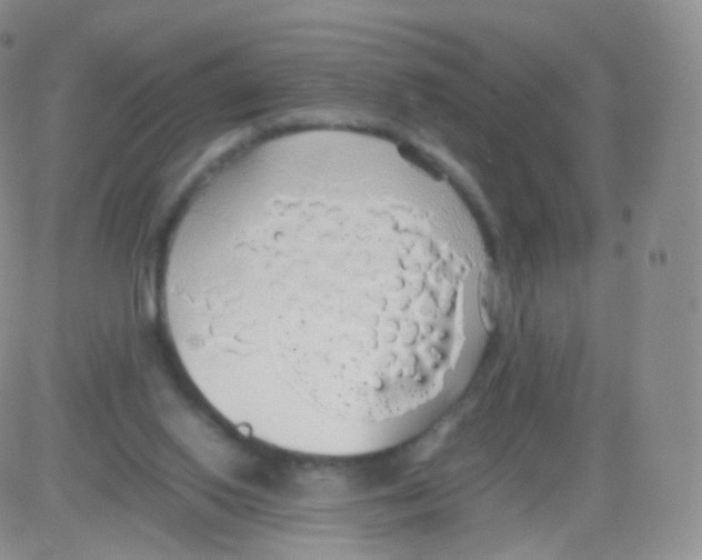 X0000082690062200702232215