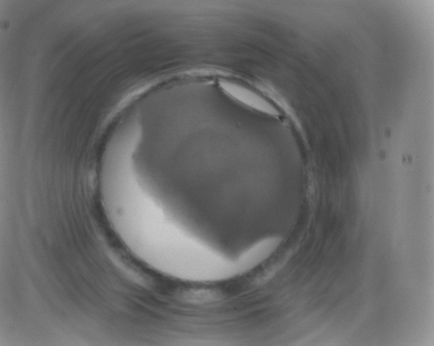 X0000082690063200702232215