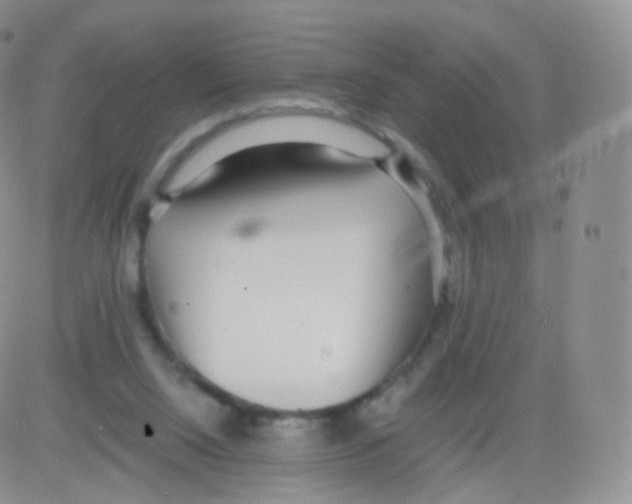 X0000082690064200702232215