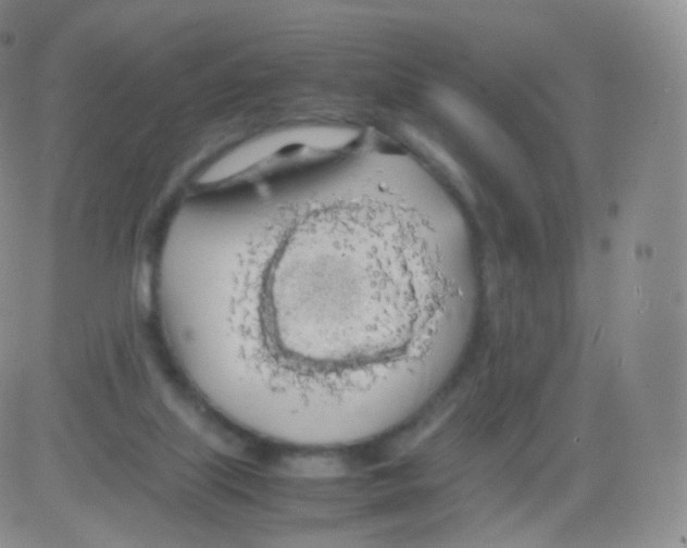 X0000082690067200702232215