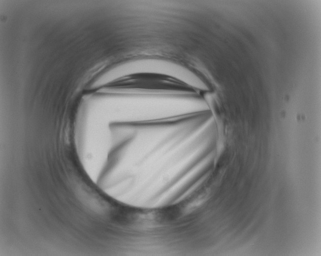 X0000082690068200702232215