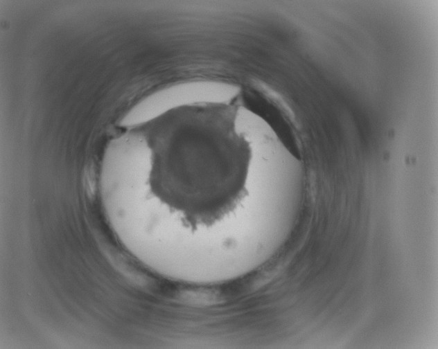 X0000082690069200702232215