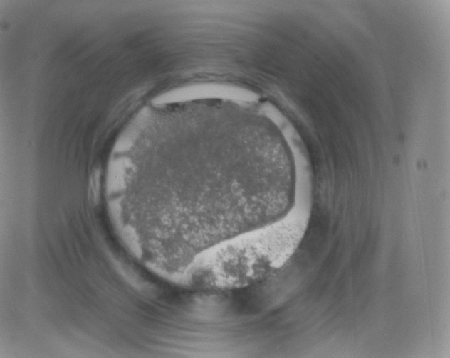 X0000082690070200702232215