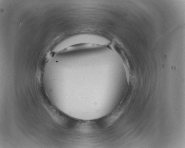 X0000082690072200702232215