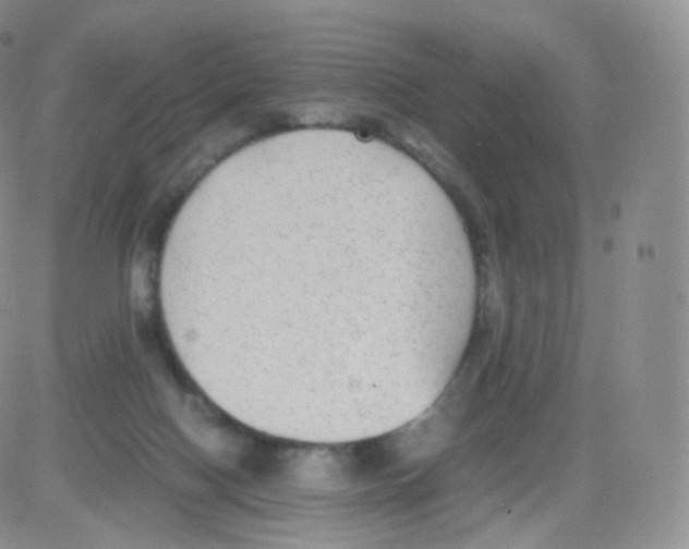 X0000082690074200702232215