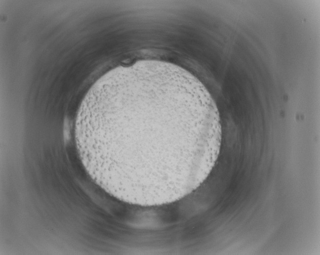 X0000082690075200702232215