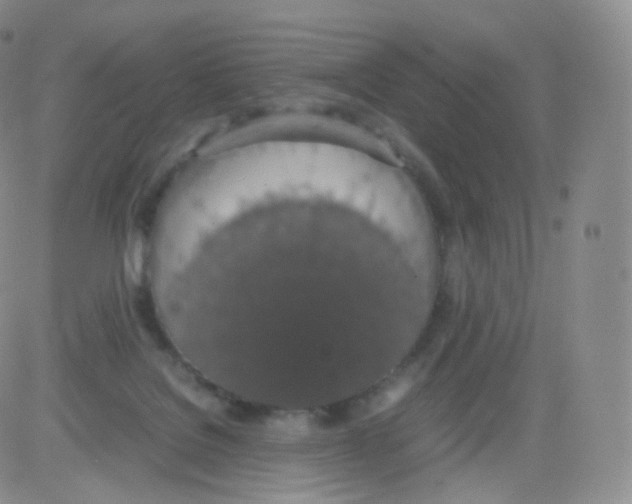 X0000082690076200702232215