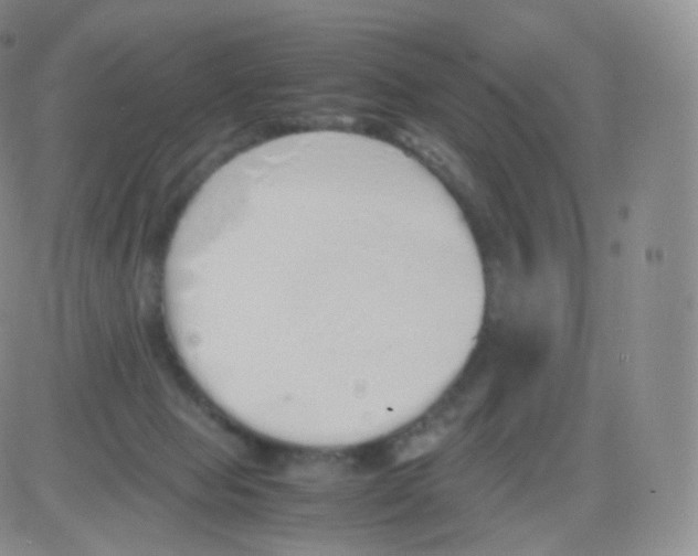 X0000082690077200702232215